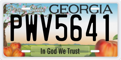 GA license plate PWV5641