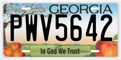 GA license plate PWV5642