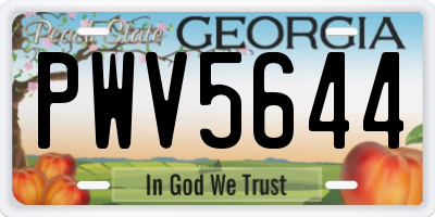GA license plate PWV5644