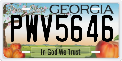 GA license plate PWV5646