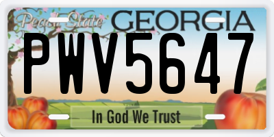 GA license plate PWV5647