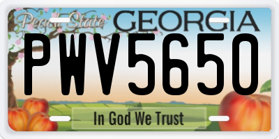 GA license plate PWV5650