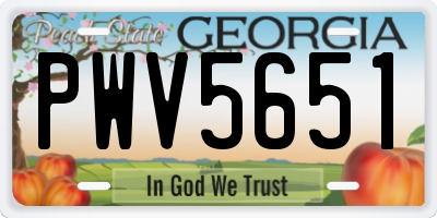 GA license plate PWV5651