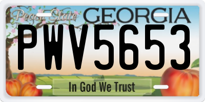 GA license plate PWV5653