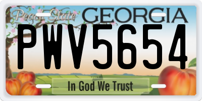 GA license plate PWV5654