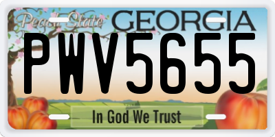 GA license plate PWV5655