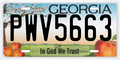 GA license plate PWV5663