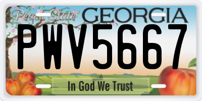GA license plate PWV5667