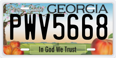 GA license plate PWV5668