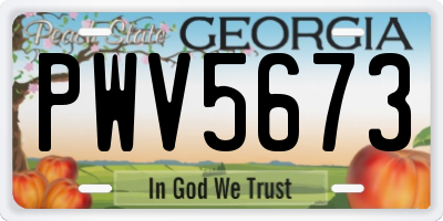 GA license plate PWV5673