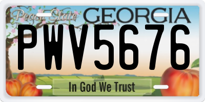 GA license plate PWV5676