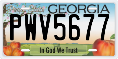 GA license plate PWV5677