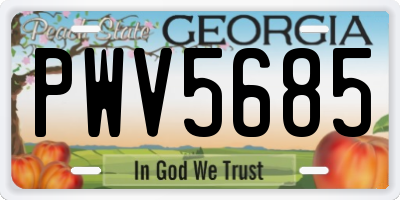 GA license plate PWV5685