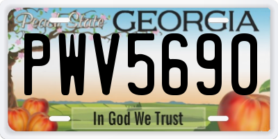 GA license plate PWV5690