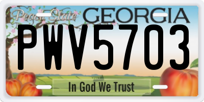 GA license plate PWV5703