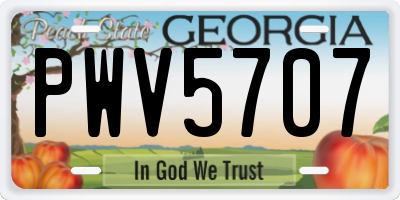 GA license plate PWV5707