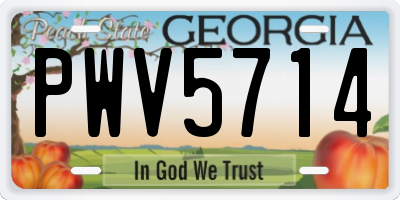 GA license plate PWV5714
