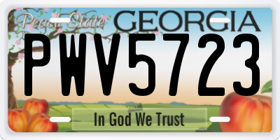 GA license plate PWV5723