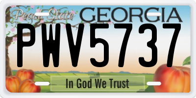 GA license plate PWV5737