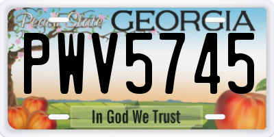 GA license plate PWV5745