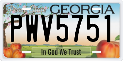 GA license plate PWV5751