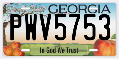 GA license plate PWV5753