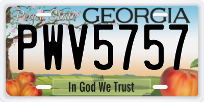 GA license plate PWV5757