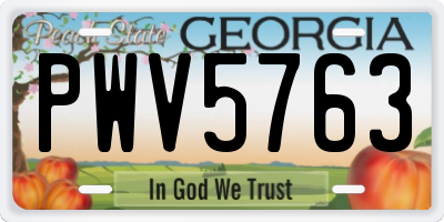 GA license plate PWV5763
