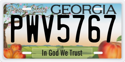 GA license plate PWV5767