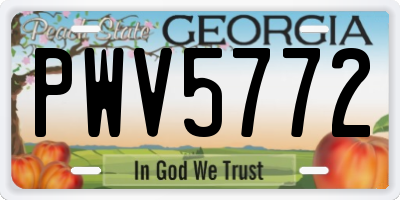 GA license plate PWV5772