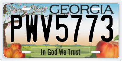 GA license plate PWV5773