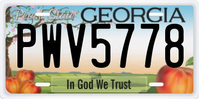 GA license plate PWV5778