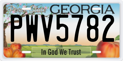 GA license plate PWV5782