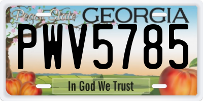 GA license plate PWV5785