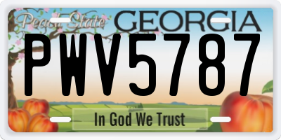 GA license plate PWV5787