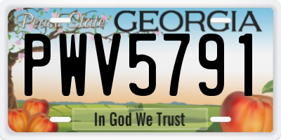 GA license plate PWV5791