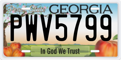 GA license plate PWV5799