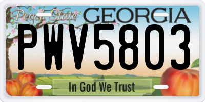 GA license plate PWV5803