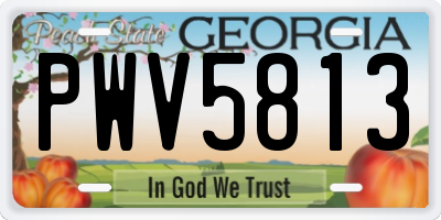 GA license plate PWV5813