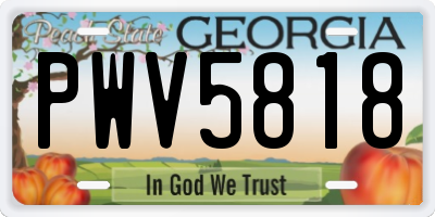 GA license plate PWV5818