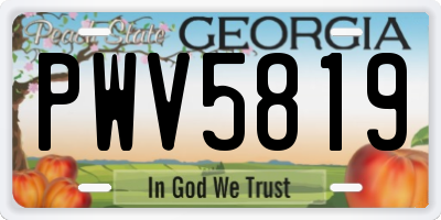 GA license plate PWV5819