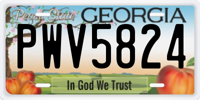 GA license plate PWV5824