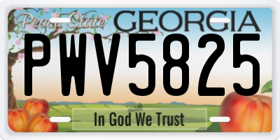 GA license plate PWV5825