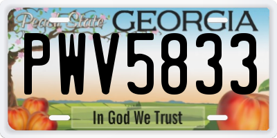 GA license plate PWV5833