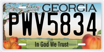 GA license plate PWV5834