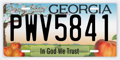 GA license plate PWV5841
