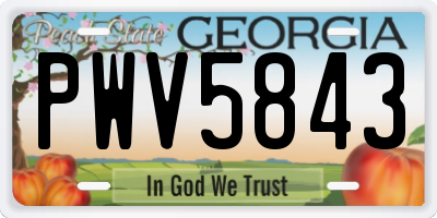 GA license plate PWV5843