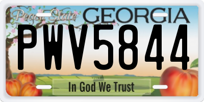 GA license plate PWV5844