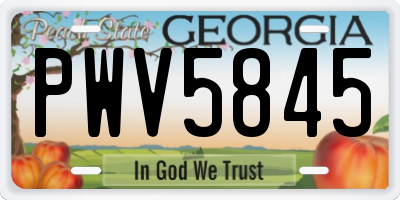 GA license plate PWV5845