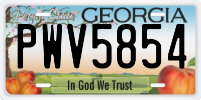 GA license plate PWV5854